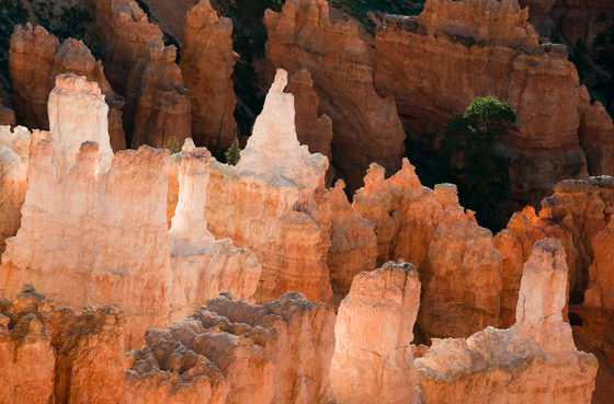 Bryce Canyon National Park