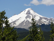 Mount Hood National Forest