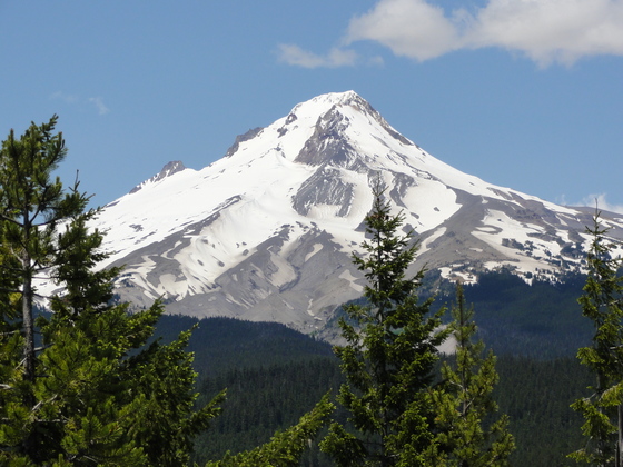 Mount Hood National Forest