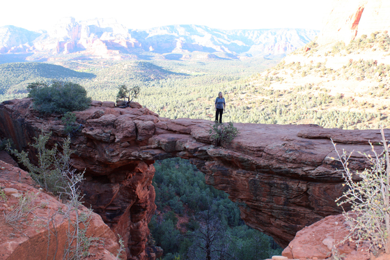 Tonto National Forest