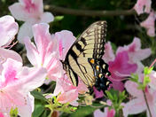 National Park Service - National Register of Historic Places