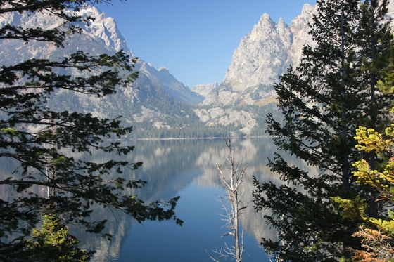 Grand Tetons