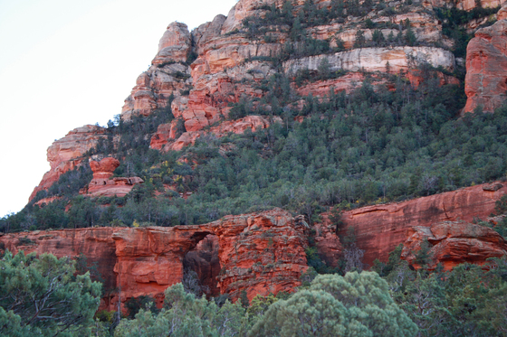 Tonto National Forest