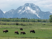 Grand Teton National Park