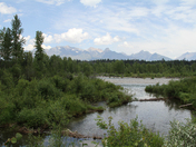 Flathead National Forest
