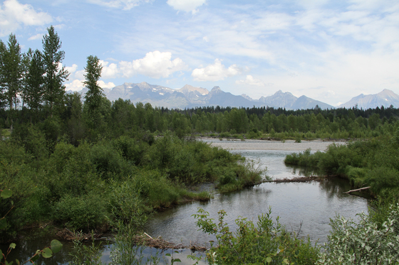 Flathead National Forest