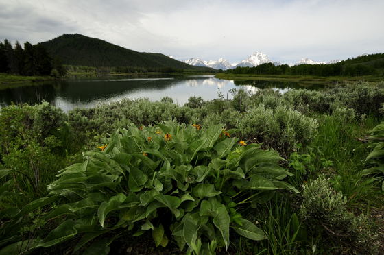 Grand Tetons NP