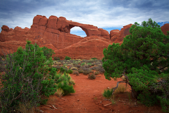 Arches National Park