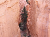 Bryce Canyon National Park