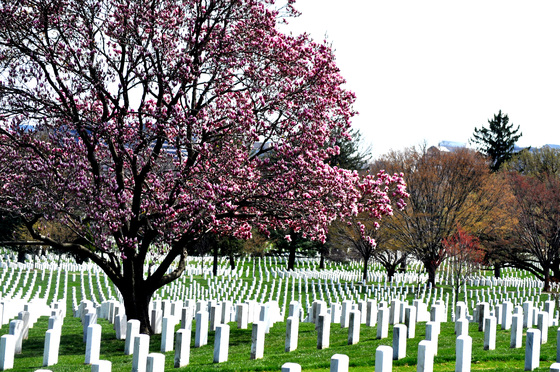 Arlington House National Memorial
