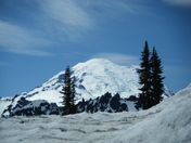 Mount Rainier National Park