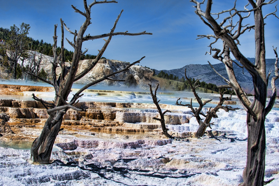 Yellowstone National Park