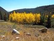 Medicine Bow National Forest