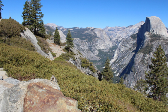 Yosemite National Park