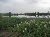 Gateway National Recreation Area - Jamaica Bay Wildlife Refuge