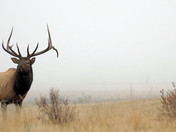 Rocky Mountain National Park