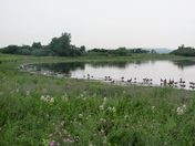 Gateway National Recreation Area - Jamaica Bay Wildlife Refuge