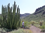 Organ Pipe Cactus National Monument