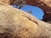 Natural Bridges National Monument