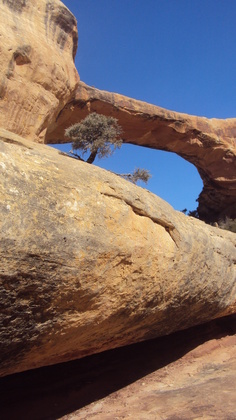 Natural Bridges National Monument