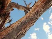 Colorado National Monument