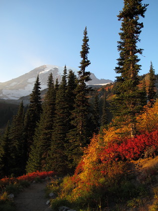 MT Rainier