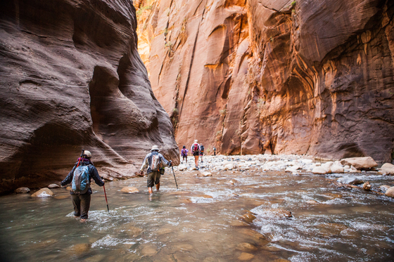 Zion National Park