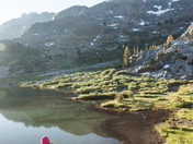 Inyo National Forest