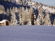 White River National Forest 