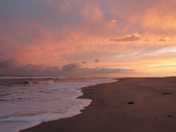 Chincoteague National Wildlife Refuge