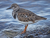 Biscayne National Park