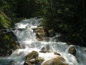 Snoqualmie National Forest