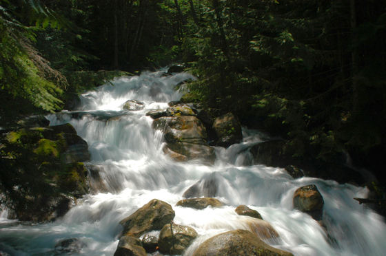 Snoqualmie National Forest