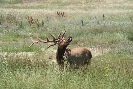 Rocky Mountain National Park