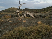 Craters of the Moon National Monument