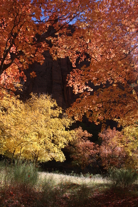 Zion National Park