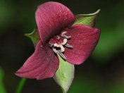 Big South Fork National River and Recreation Area