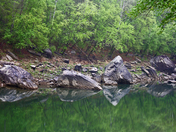 Daniel Boone National Forest