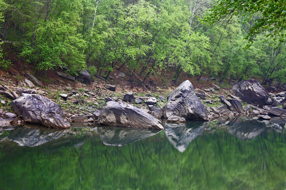 Daniel Boone National Forest