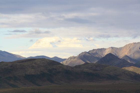 Denali
