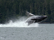 Near Glacier Bay, Alaska