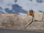 Rocky Mountain National Park