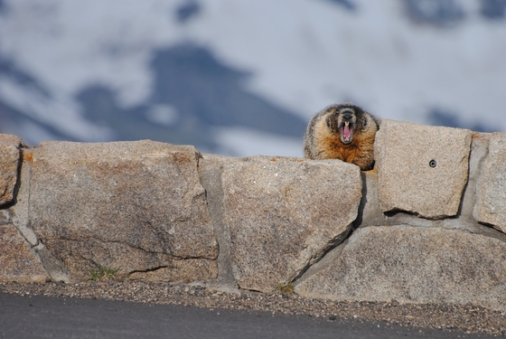 Rocky Mountain National Park