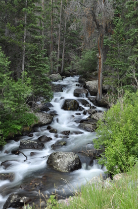 Rocky Mountain National Park