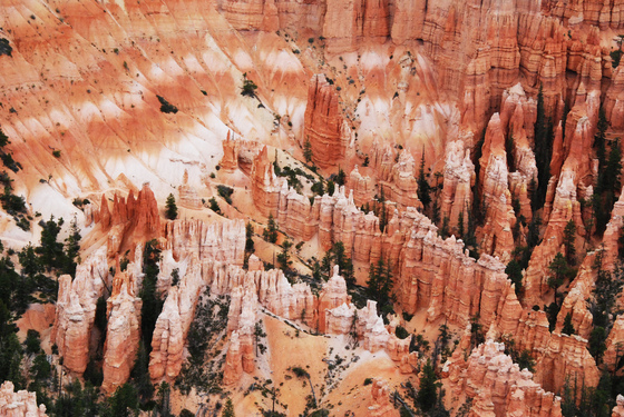 Bryce National Park