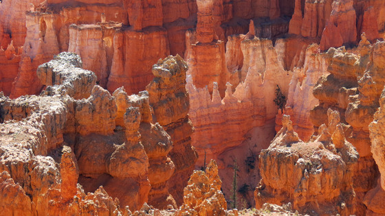 Bryce Canyon