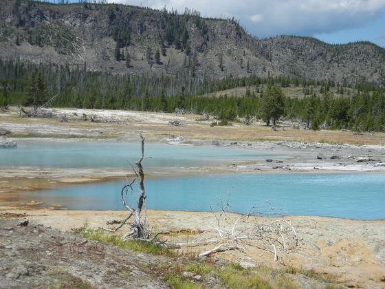 Yellowstone