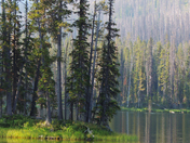 Yellowstone National Park