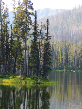 Yellowstone National Park