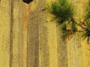 Devils Tower National Monument